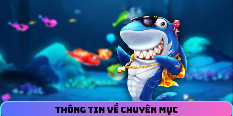 Thông tin về chuyên mục