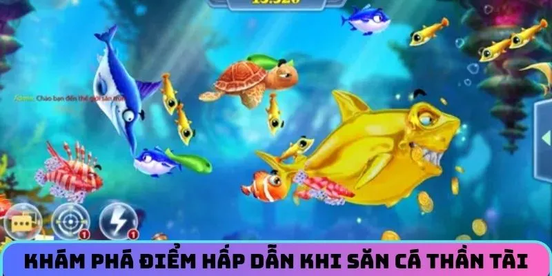Khám phá điểm hấp dẫn khi săn cá thần tài